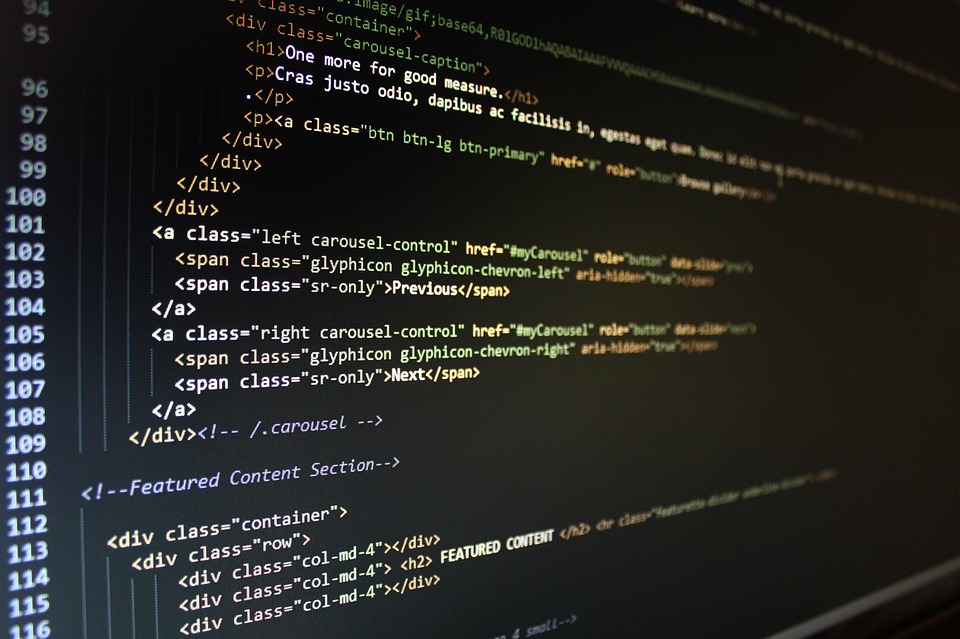 Software development
