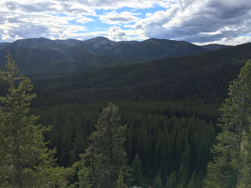 Pacific Northwest mountains